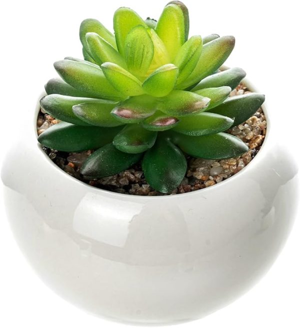 Mini Plant Artificial Flowers Decoration | Artificial Plants Ball For Home (1 Pc Round Shape)